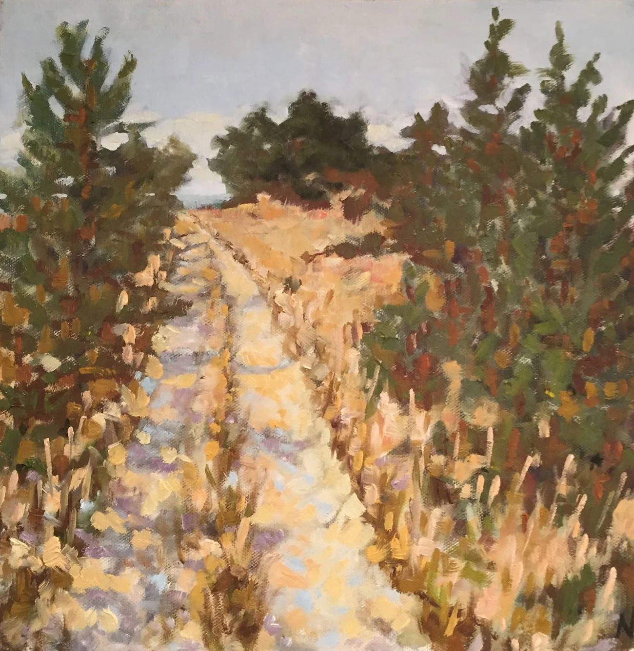 Truro Path (12x12)