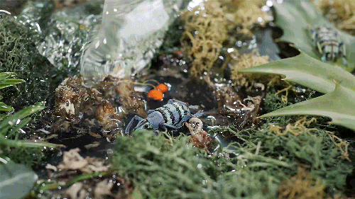 dave-gif-7.gif