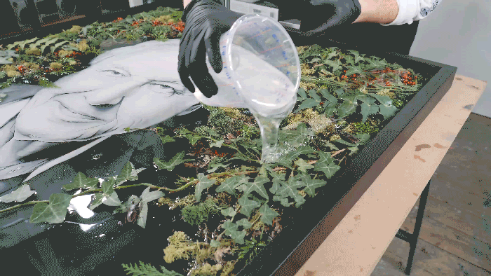 dave-gif-6.gif