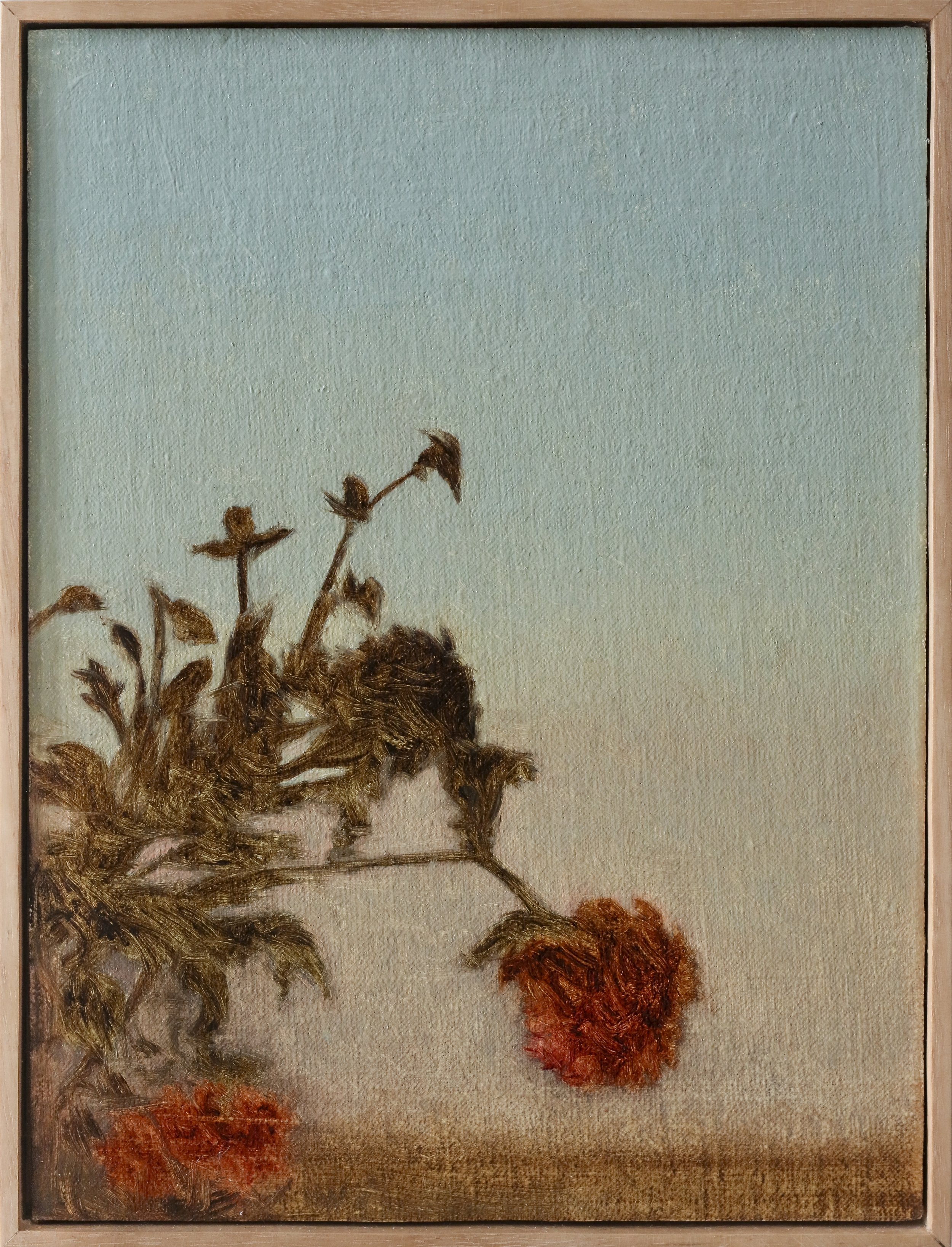 Dusk Garden