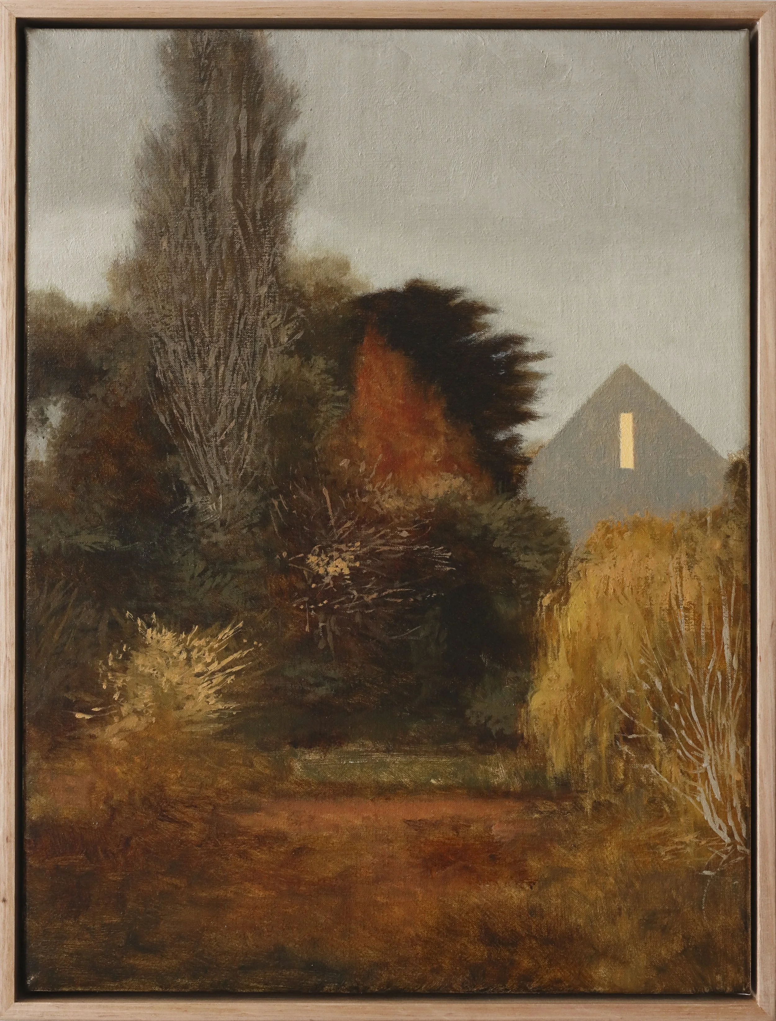 Merri Creek Autumn