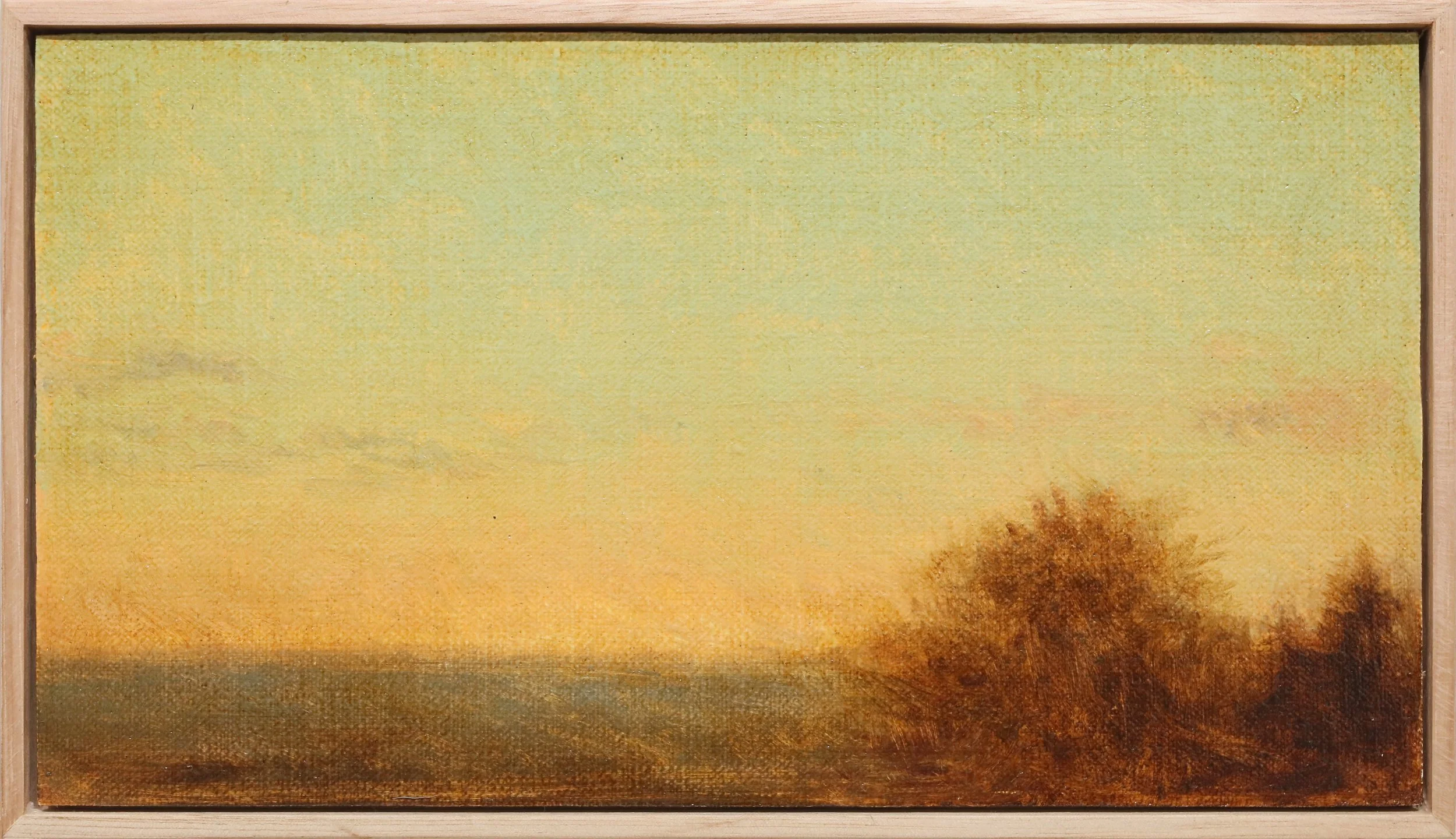 Horizon Light Study