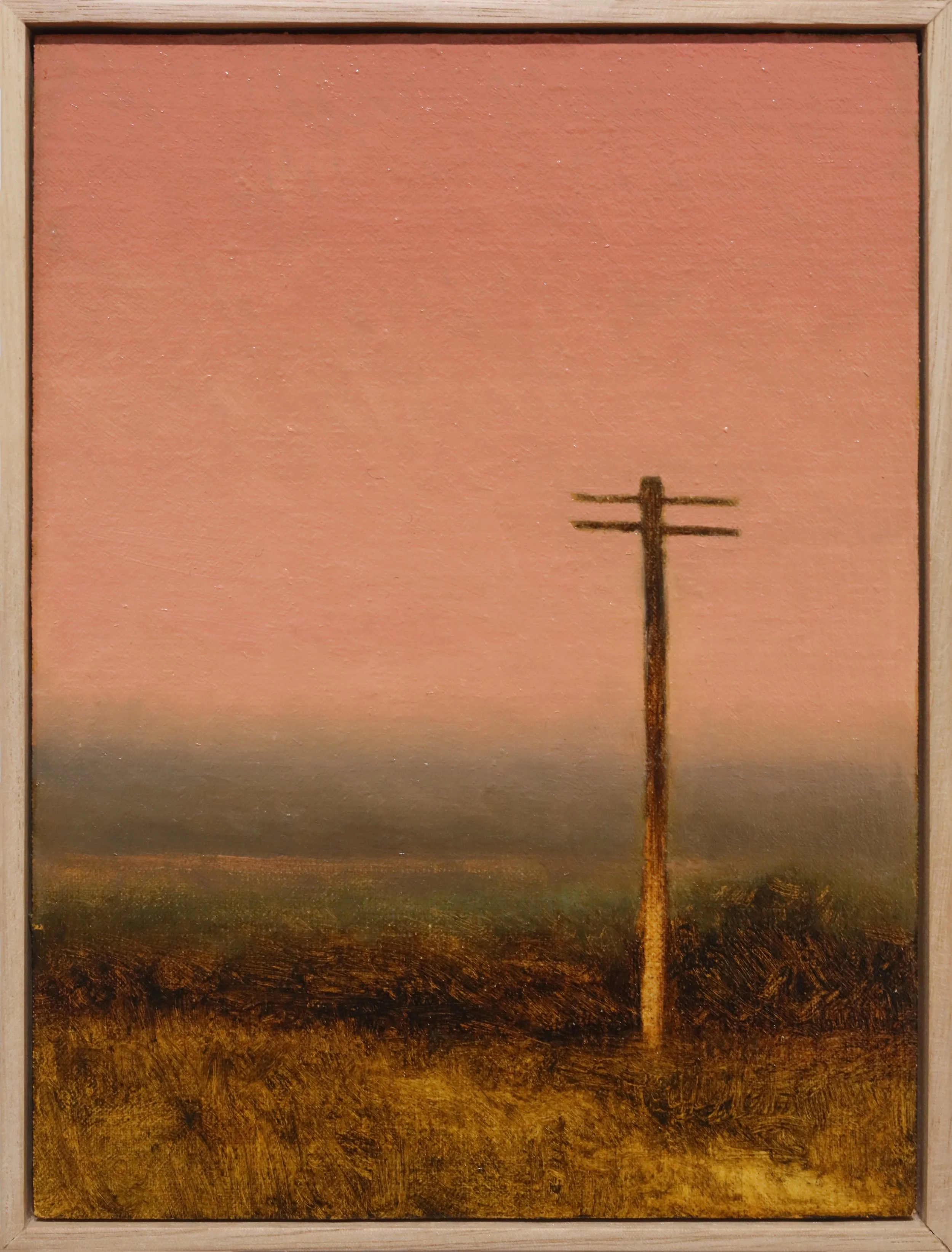 Pink Sky Study