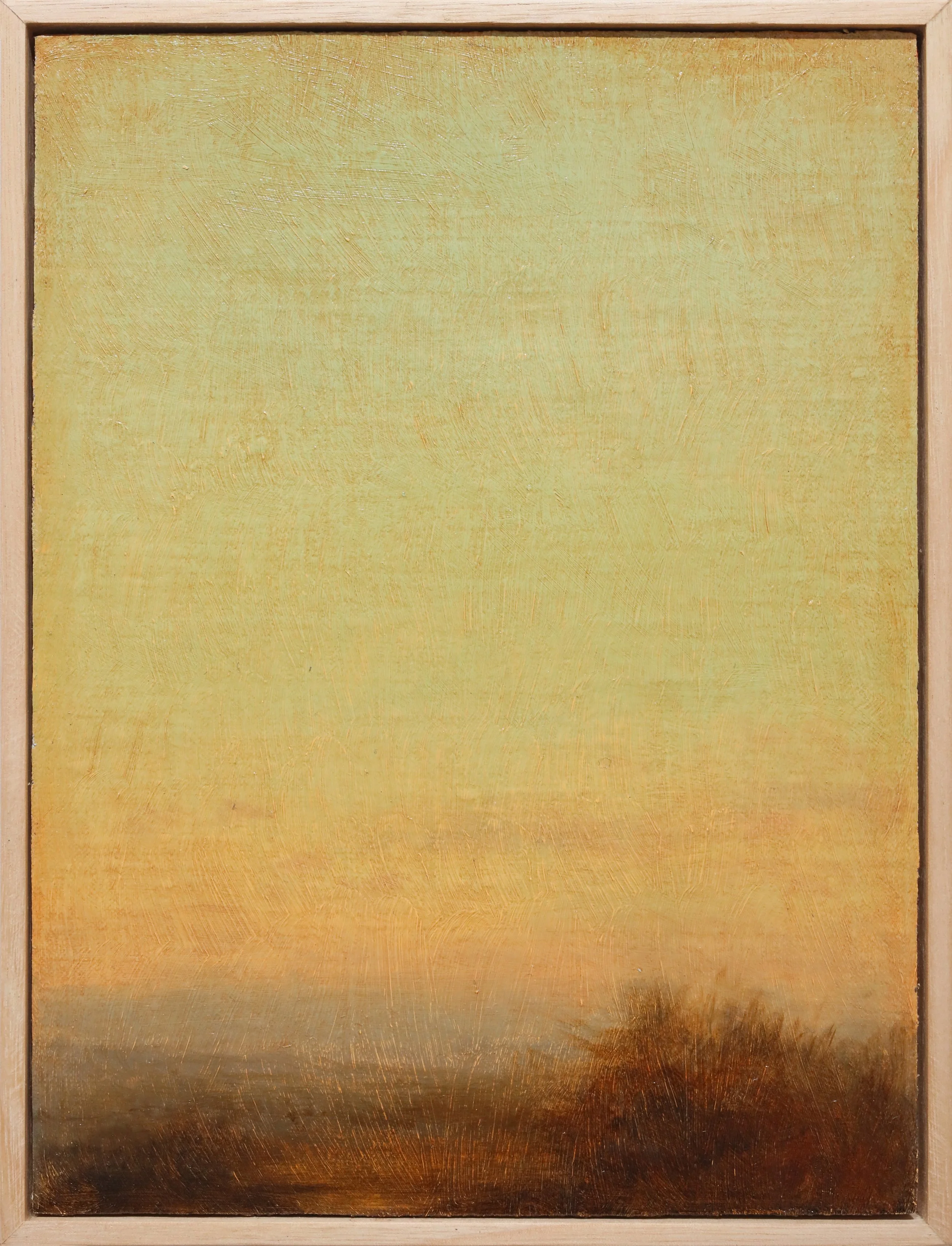 PM Horizon Study II