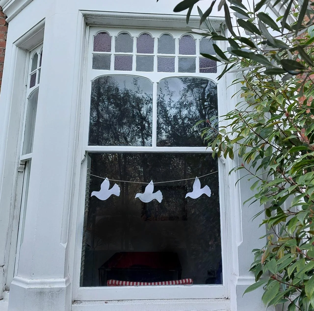 WhatsApp Image 2026-01-07 at 16.15.00.jpeg