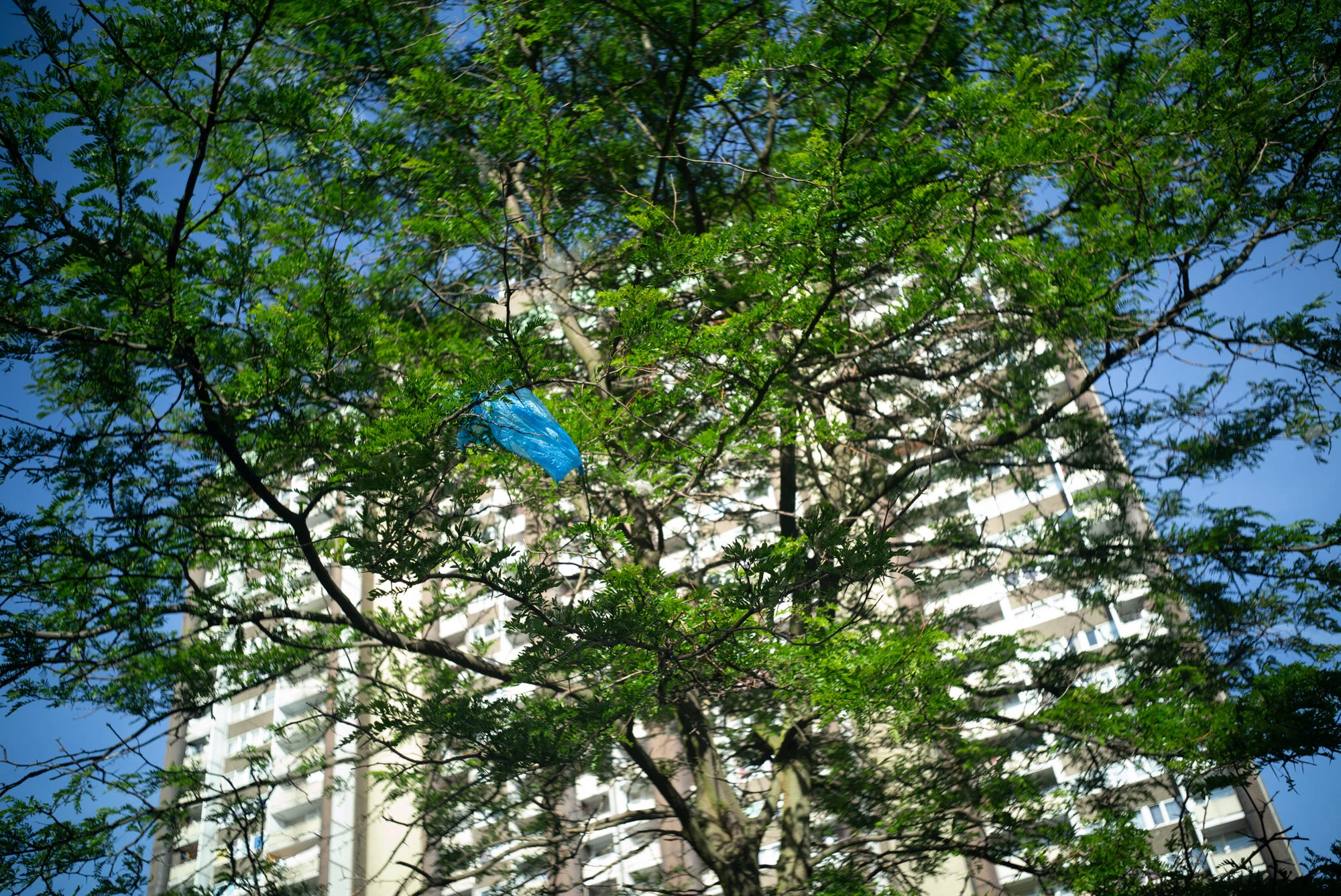 L1005105.jpg