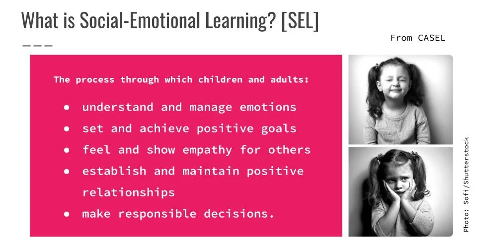 what+is+SEL.jpg