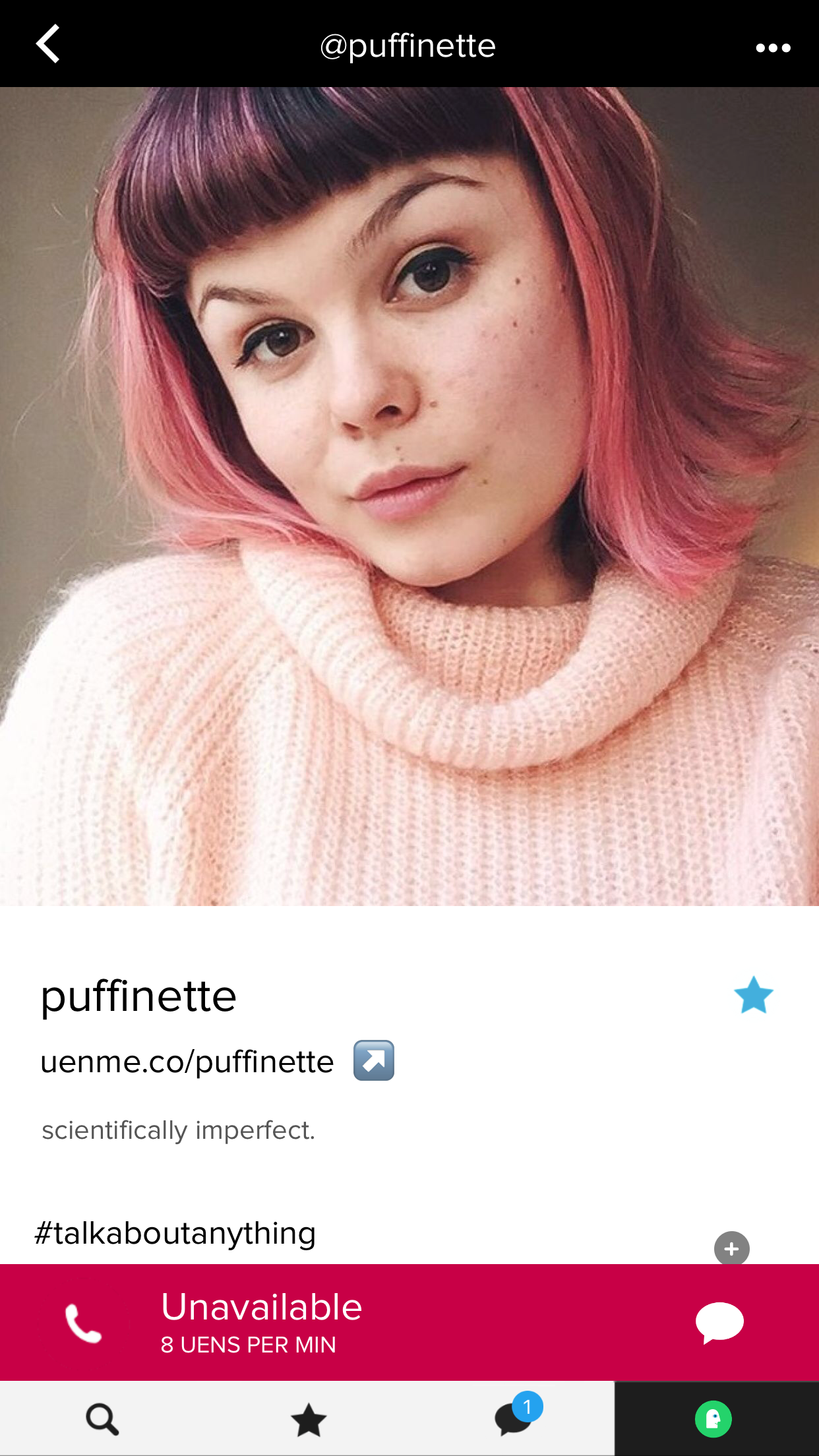 puffinette.PNG