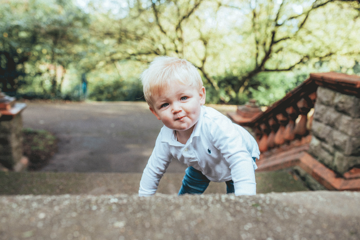 top-of-steps-front.gif