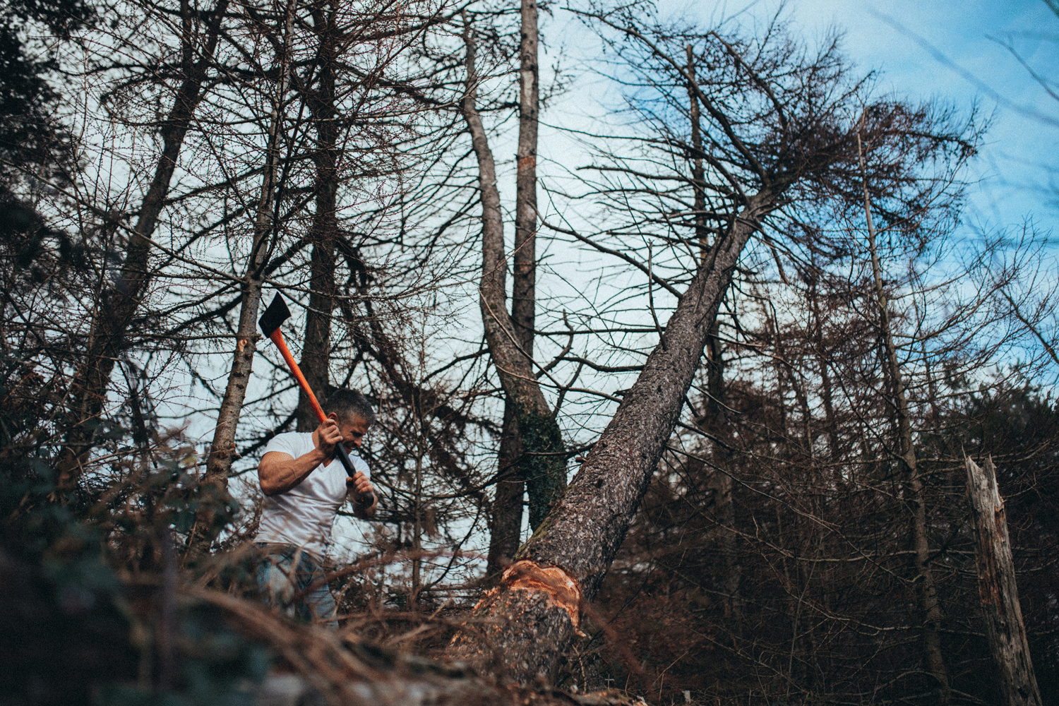 TreeCutting6.gif