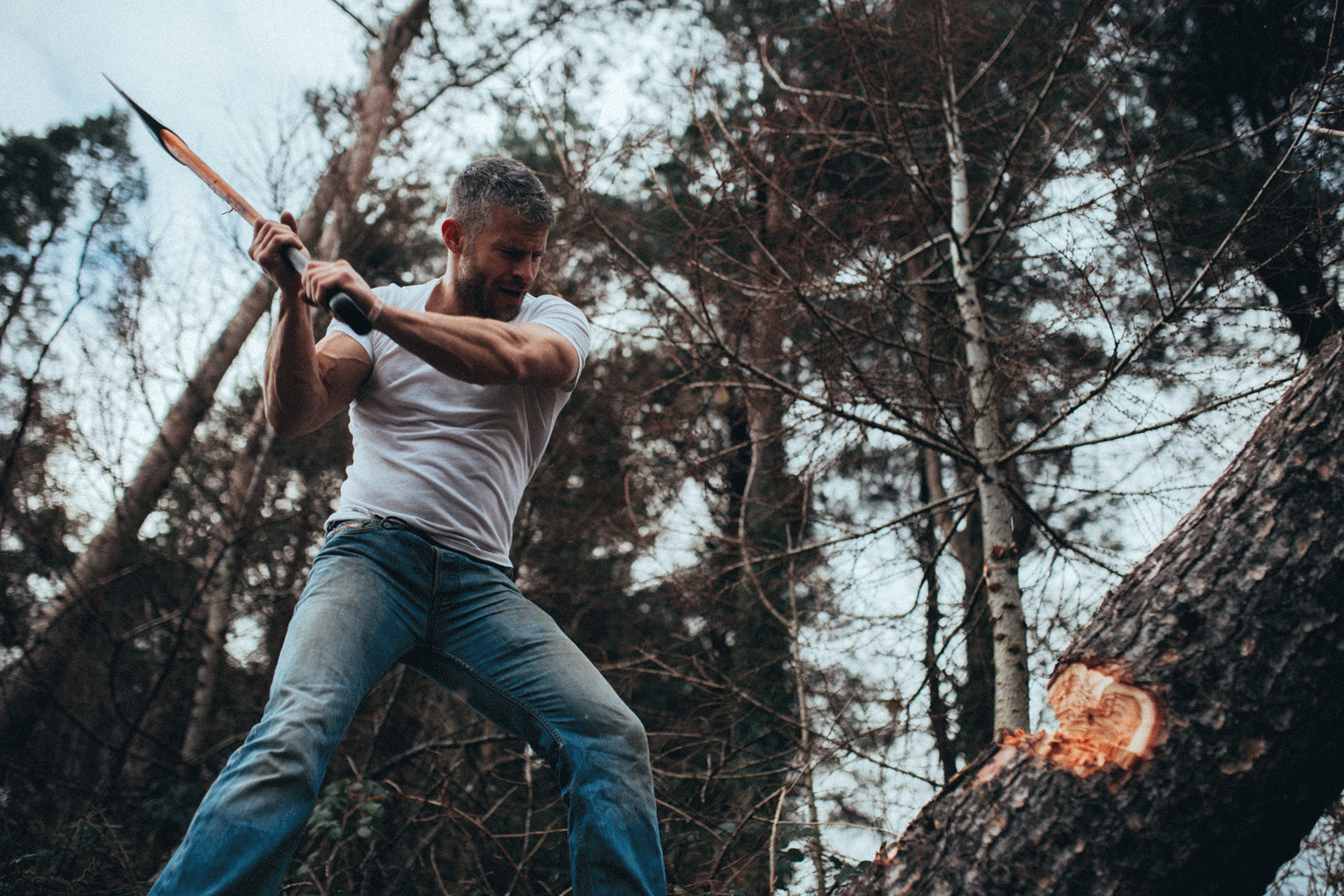 TreeCutting5.gif