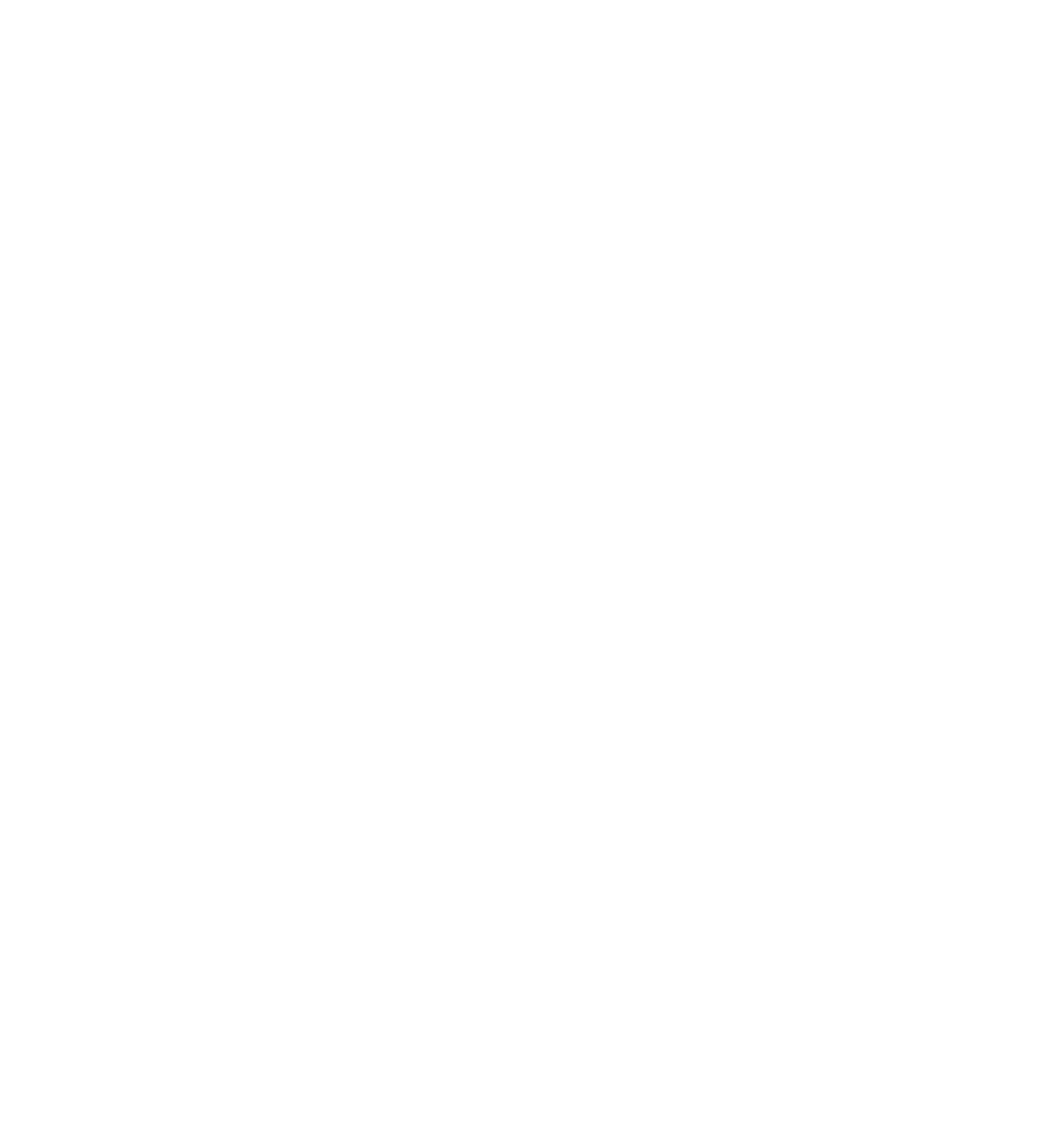 Copy of bramlogo.png