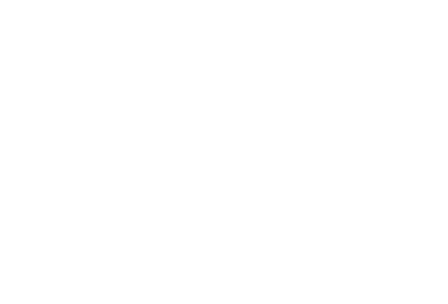 Copy of VeniceWhiteLogo.png