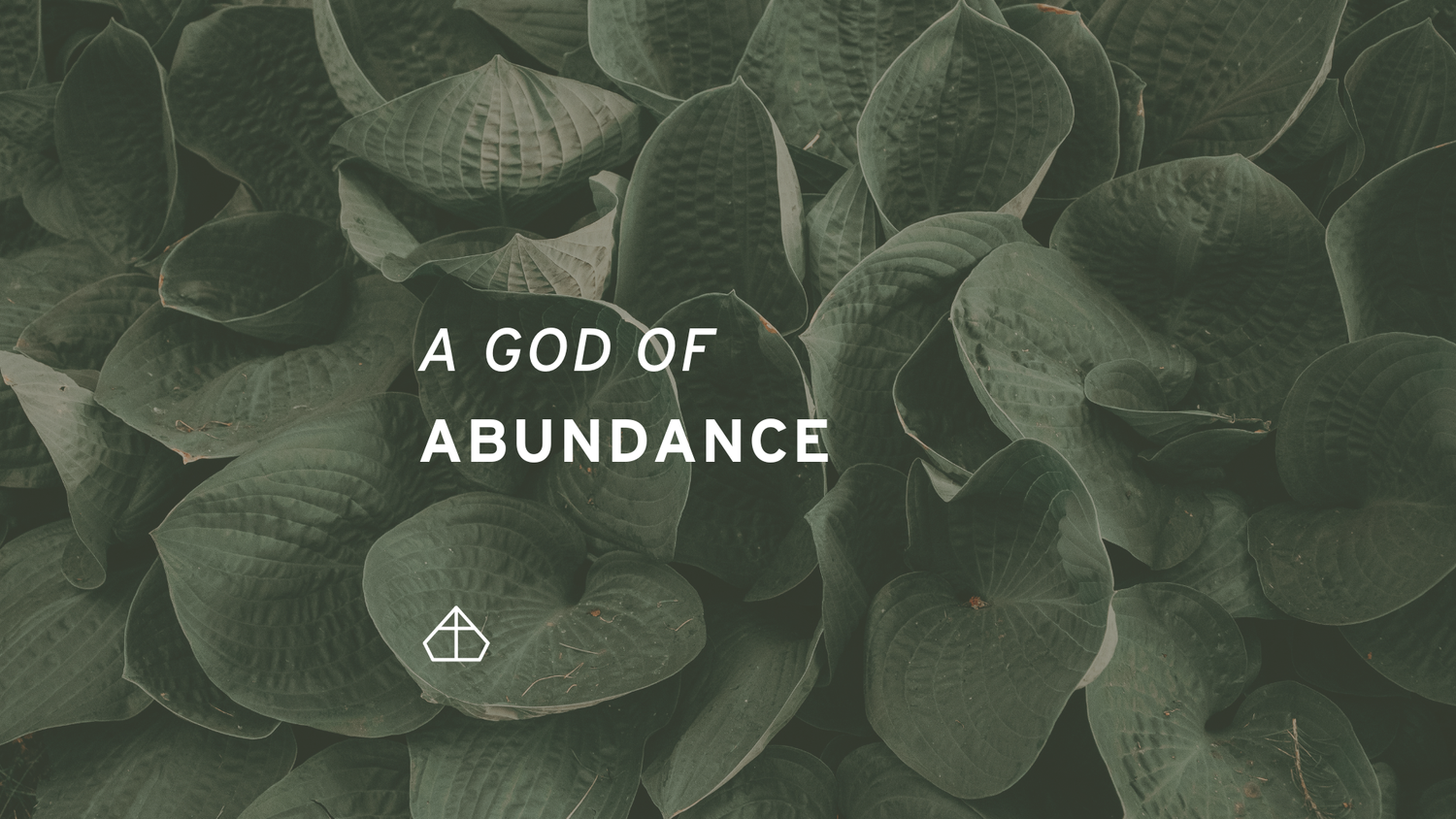 A God of Abundance episode artwork