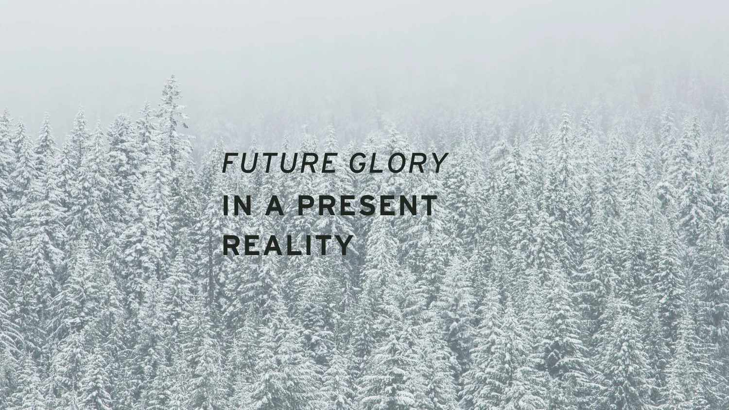 A Weary World Rejoices Pt.2