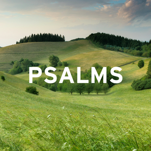 Psalm 8 episode artwork