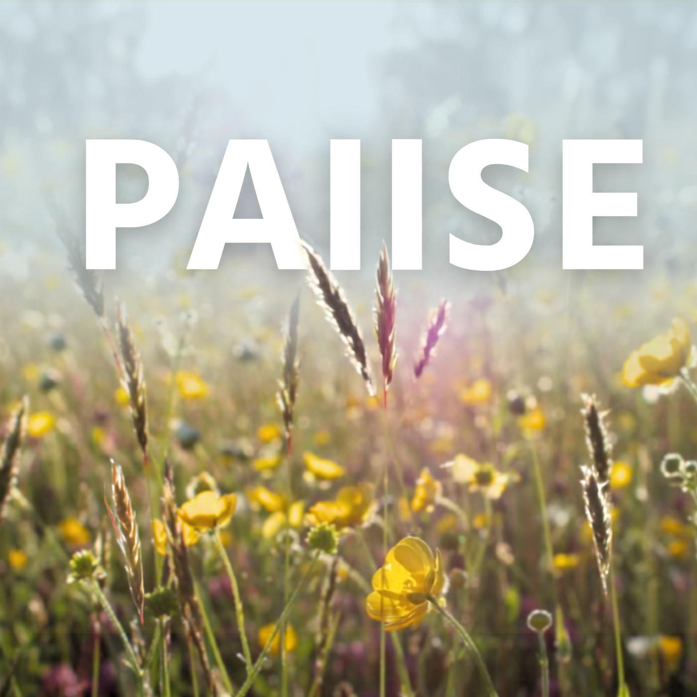 Ollie Latham - Pause : ‘Childlike faith’