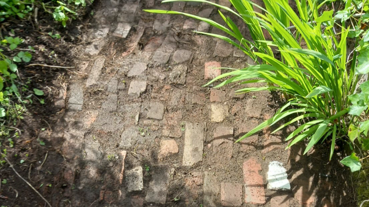 The ground at the Allotment , featuring brick paths and a few plants.