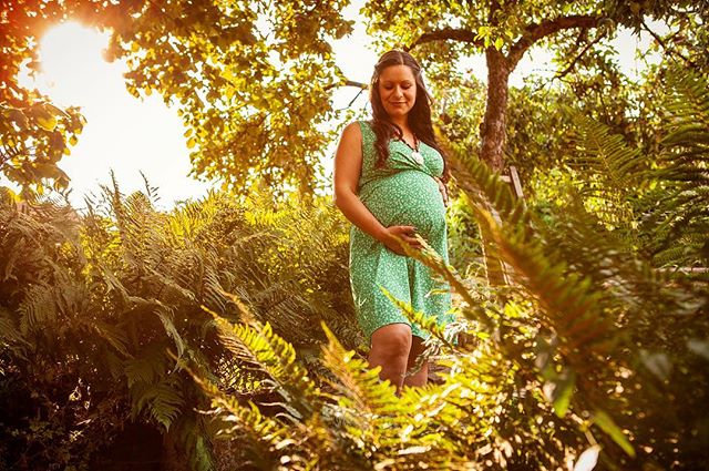 Aus dem vergangenen Sommer #pregnantportrait #pregnant #garden #portrait #schwangerschaft #sun