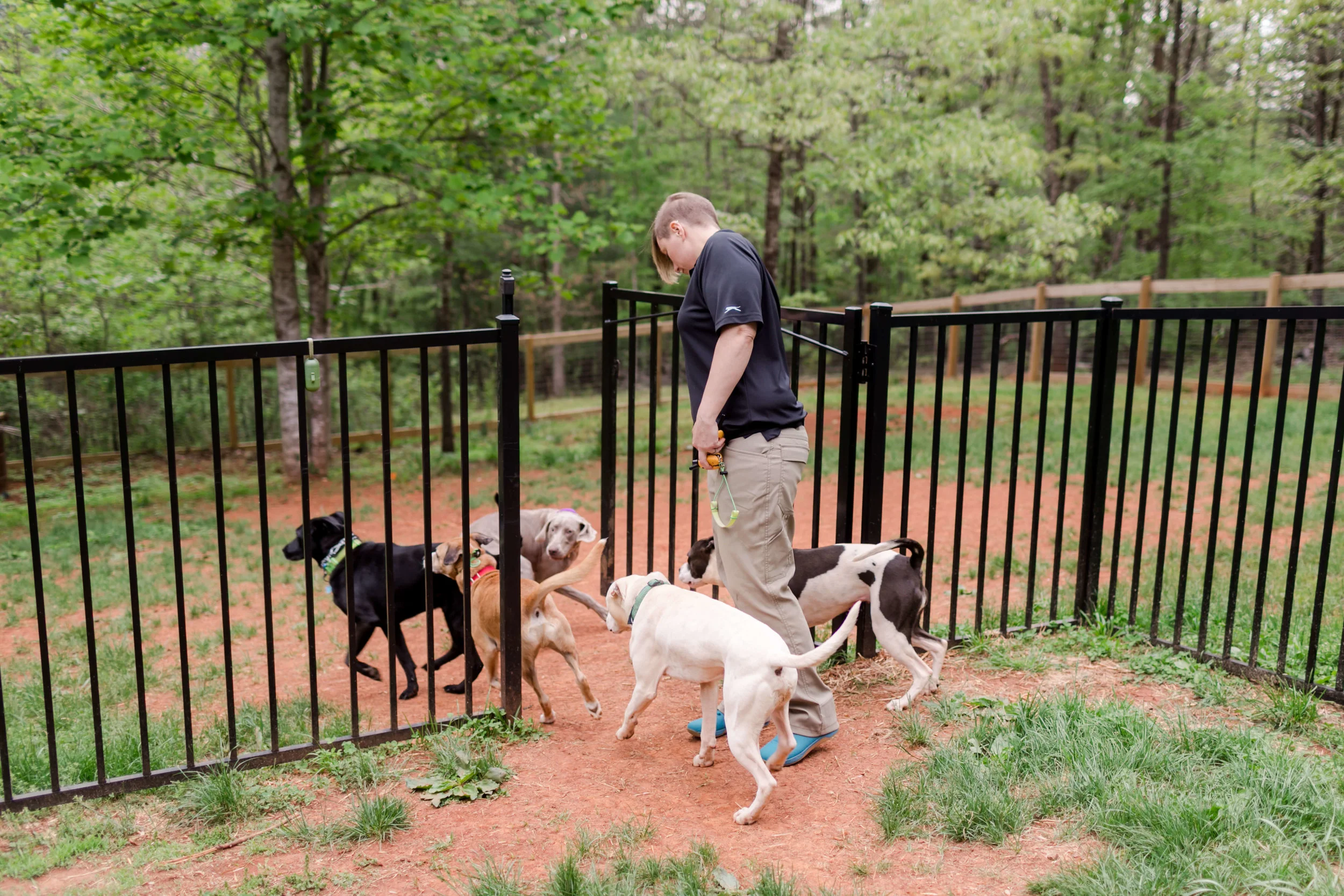 Sadies-Rules-K9-Training-2019-0130.jpg