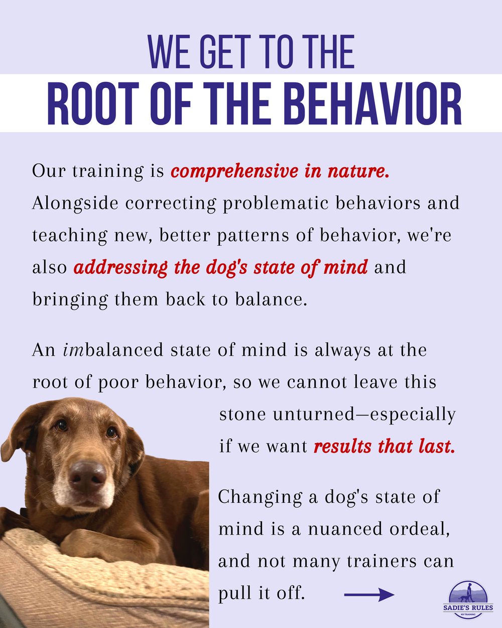 Behavioral Training Dog: Effective Tips for Lasting Results