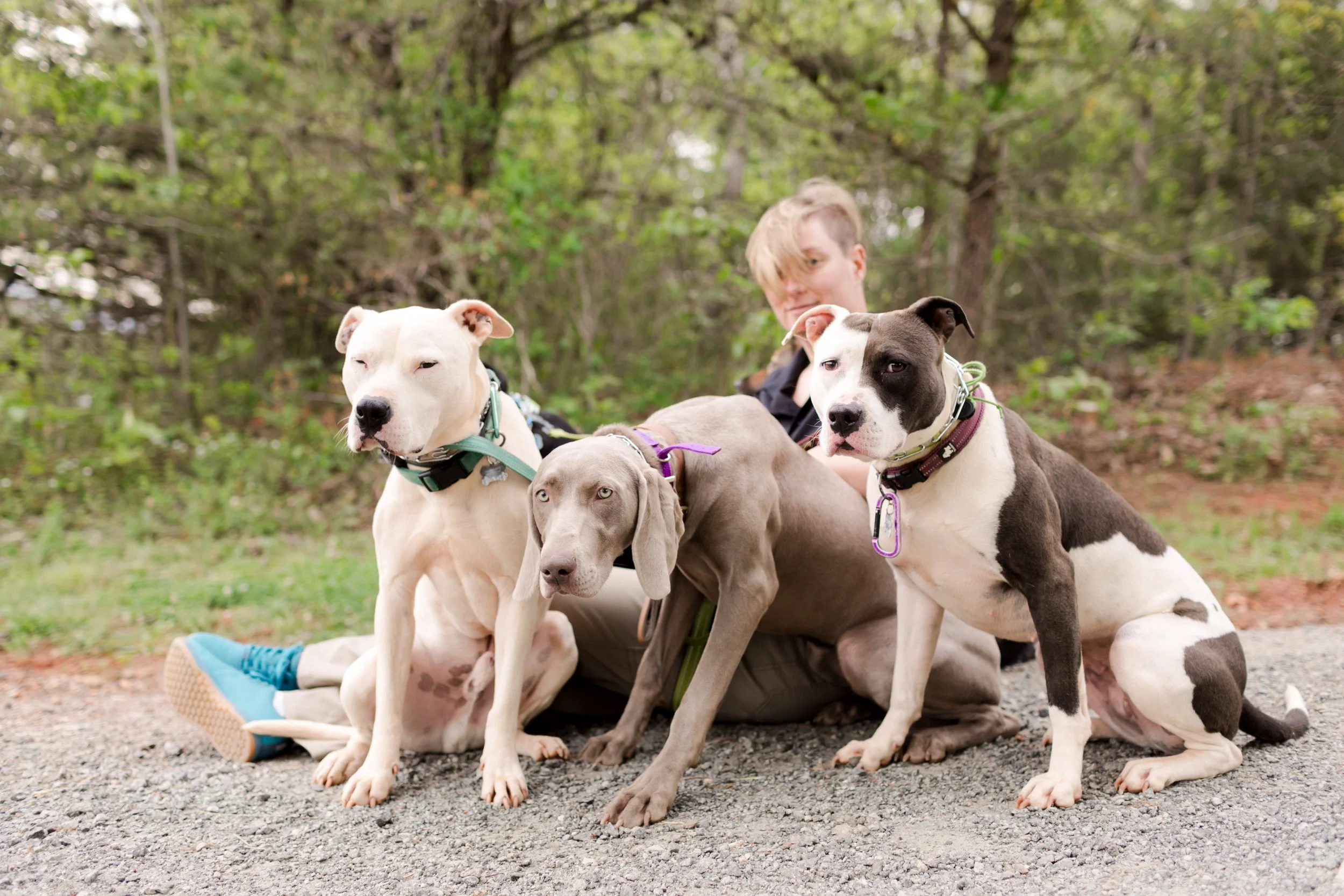 Sadies-Rules-K9-Training-2019-0023.jpg