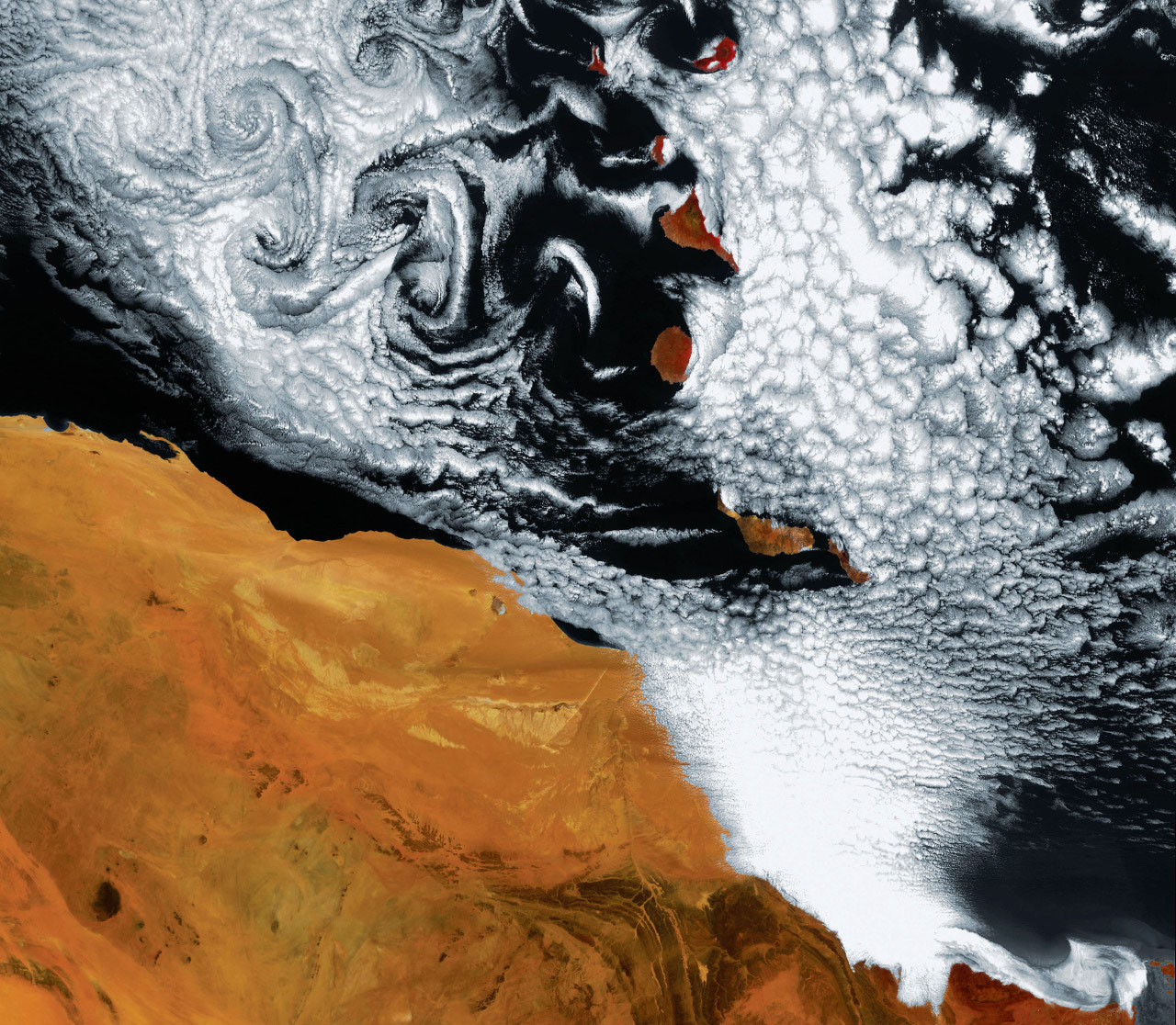 Earth_Data_11rotate.jpg