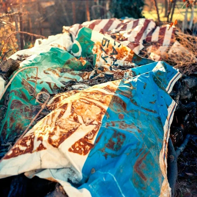 Marina Leybishkis, 108km in Exile (2013-2017)