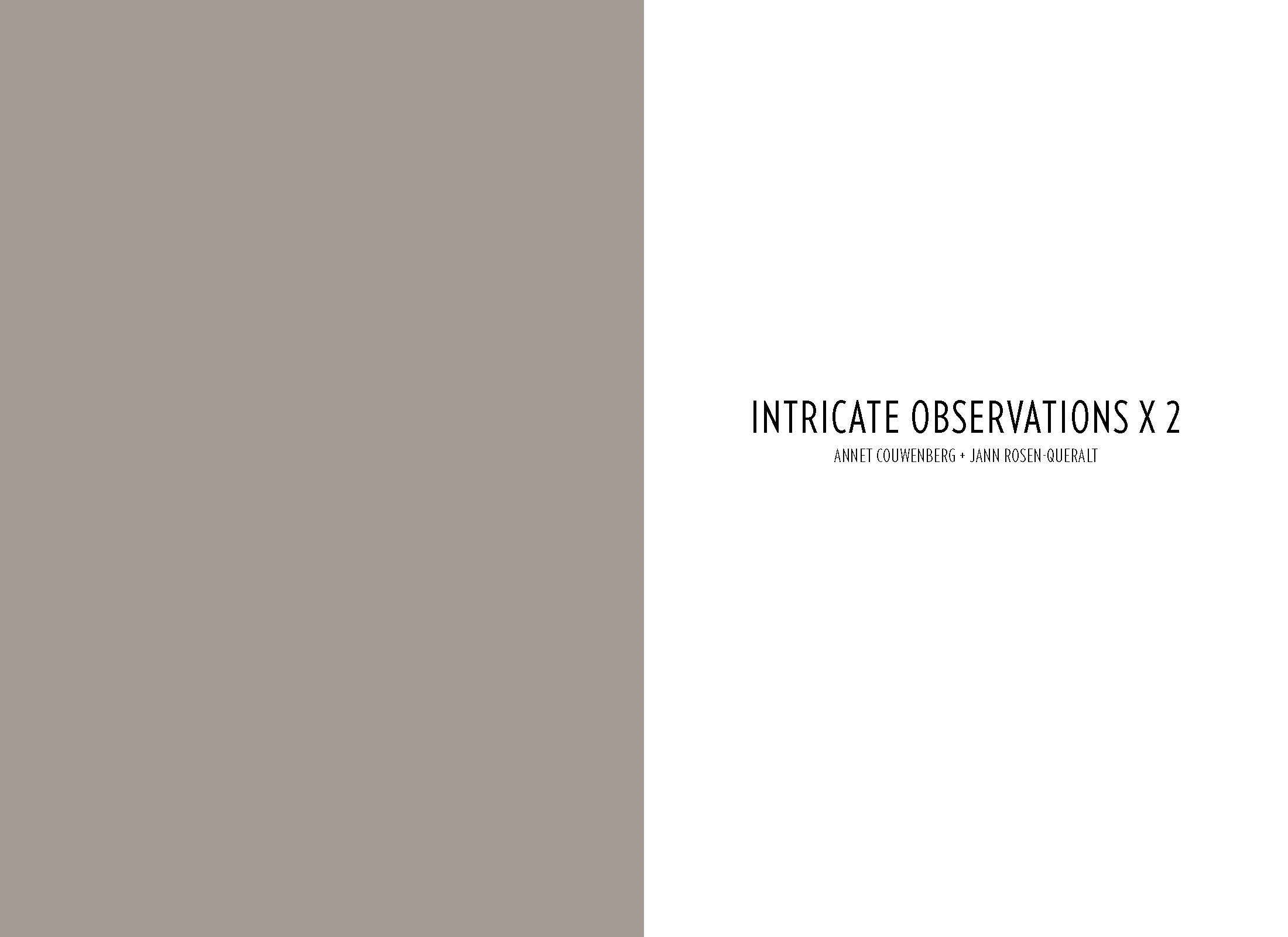 Intricate Observations X 2 Catalogue _Part1_Page_2.jpg