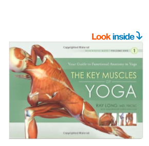 The Key Muscles of Yoga: Scientific Keys