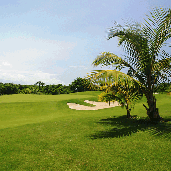 Cana Bay Beach Club & Golf Resort