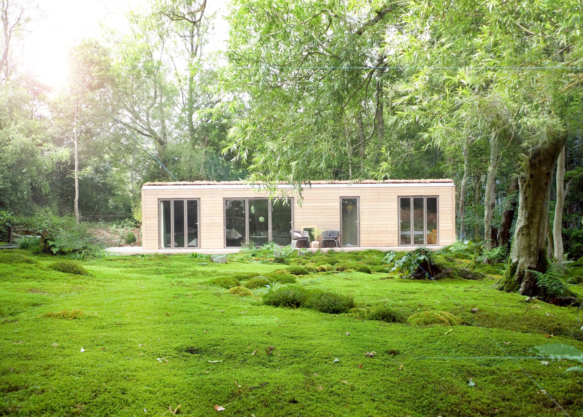 Woodland Eco Home