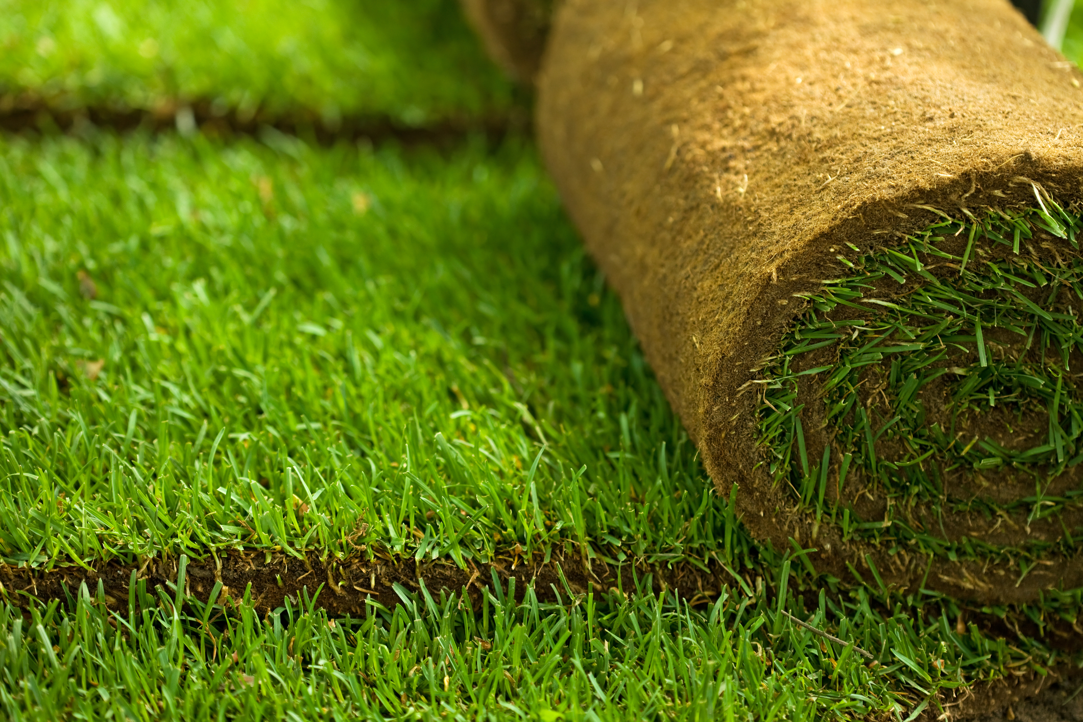 Turf Grass Installation New Orleans