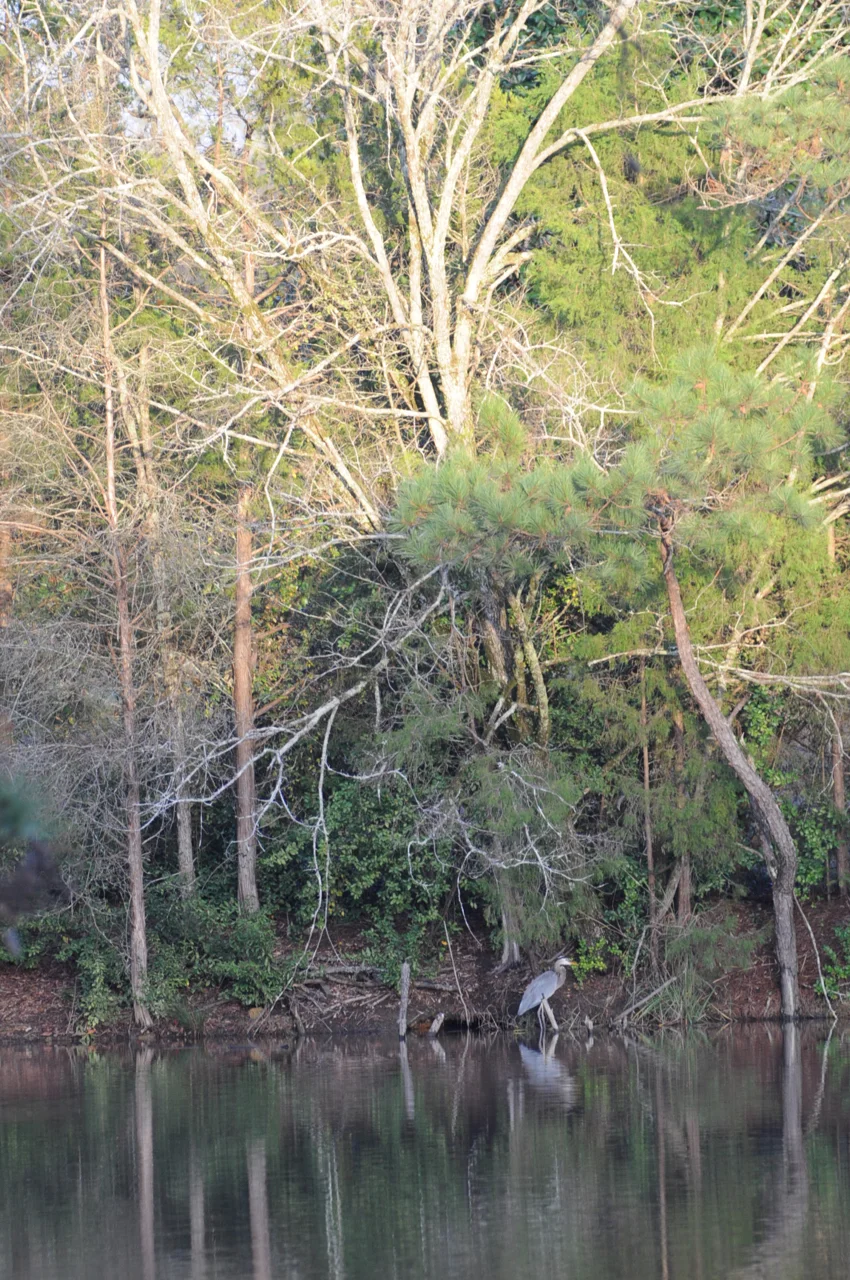 DSC_0006.jpg