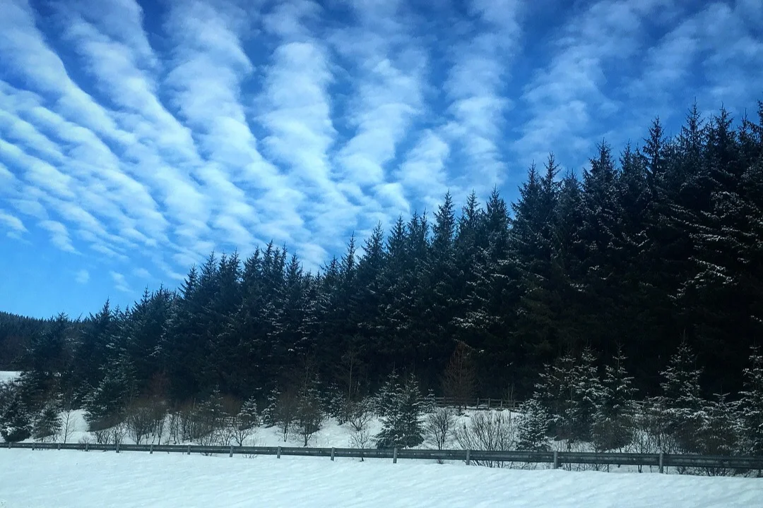 On the road to Celtic Connections