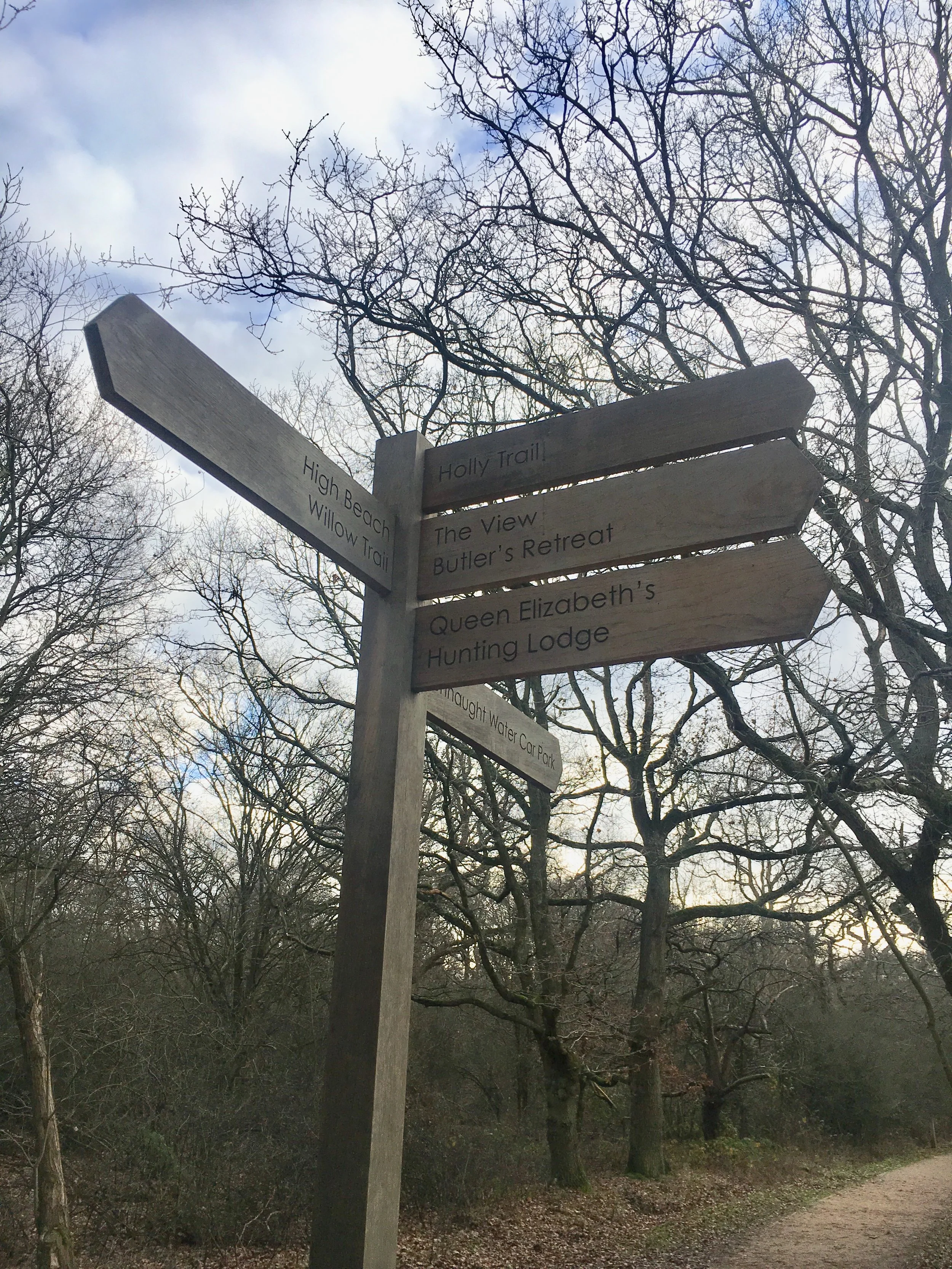 Artist-In-Residence Epping Forest