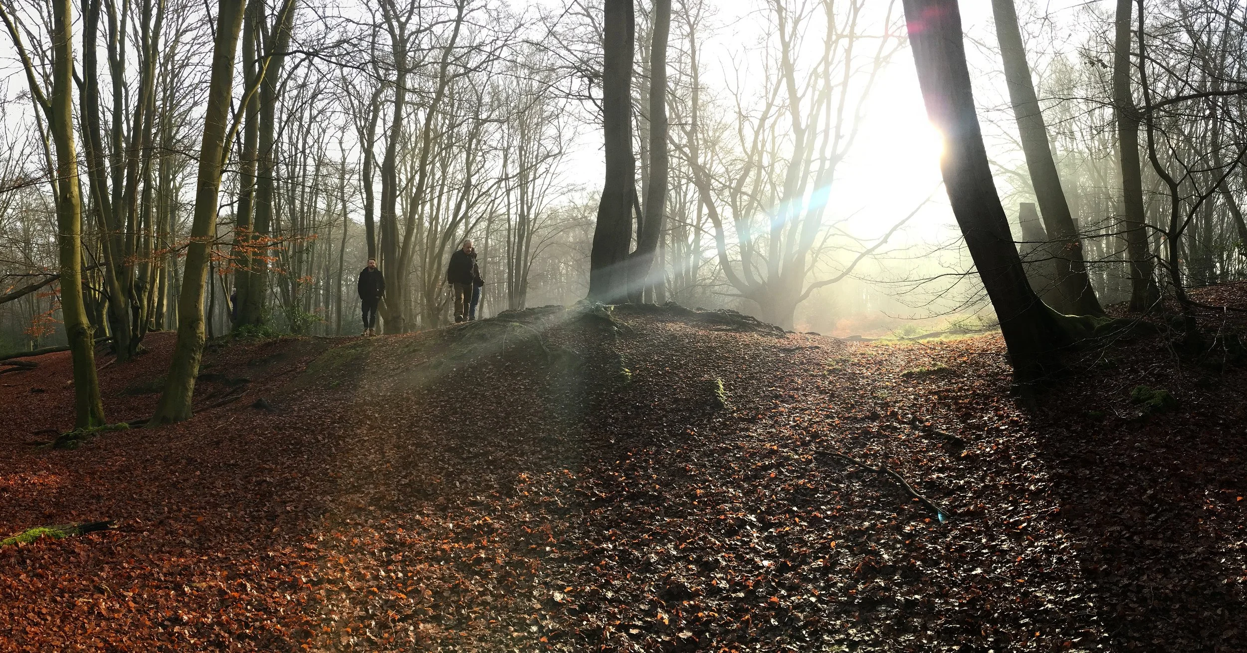 Iron Age earthworks in Epping Forest