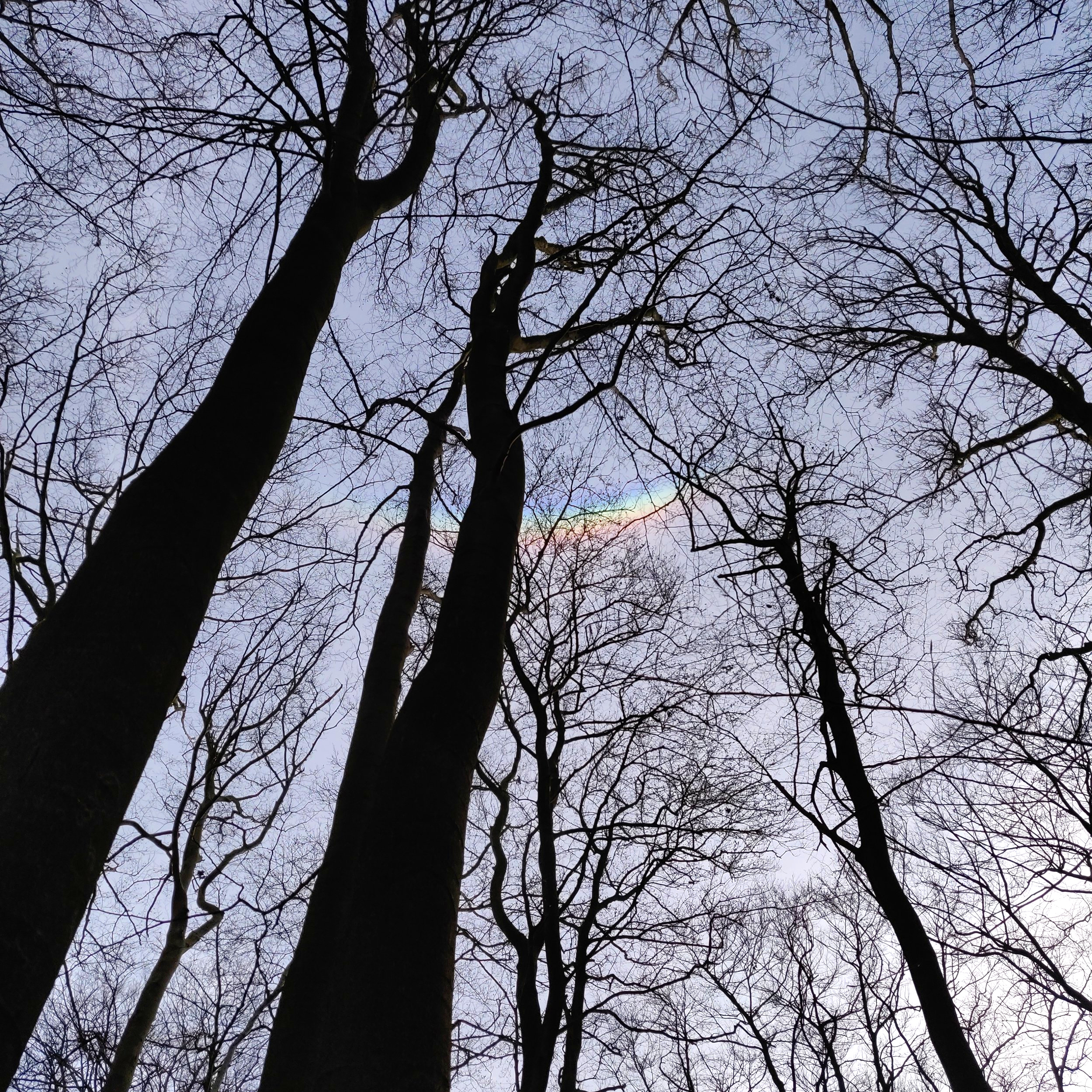 Circumzenithal Arc at Loughton Camp