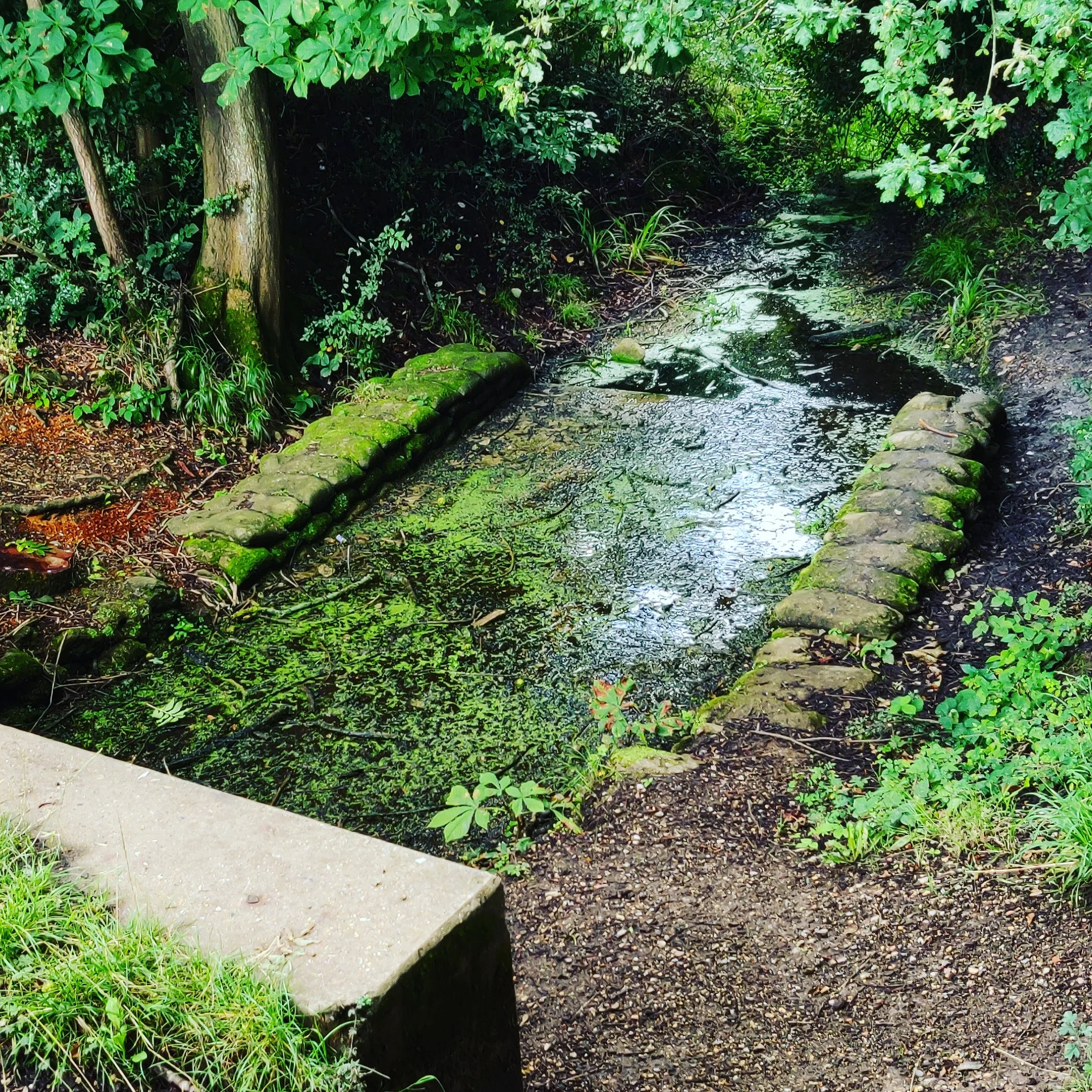 The source of the River Ching comes out of the lake at Connaught Water.