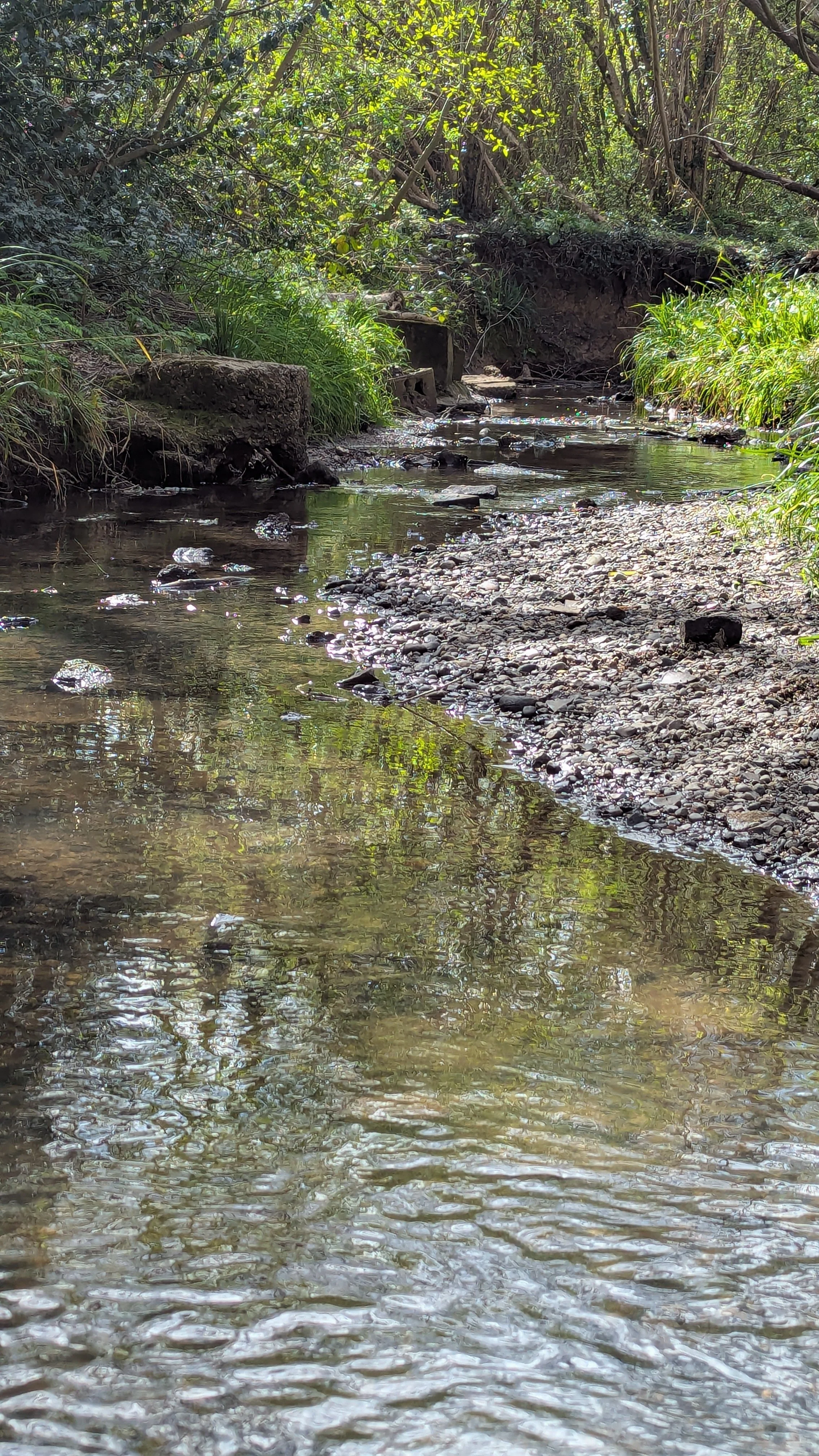 Vincent Road - Ching