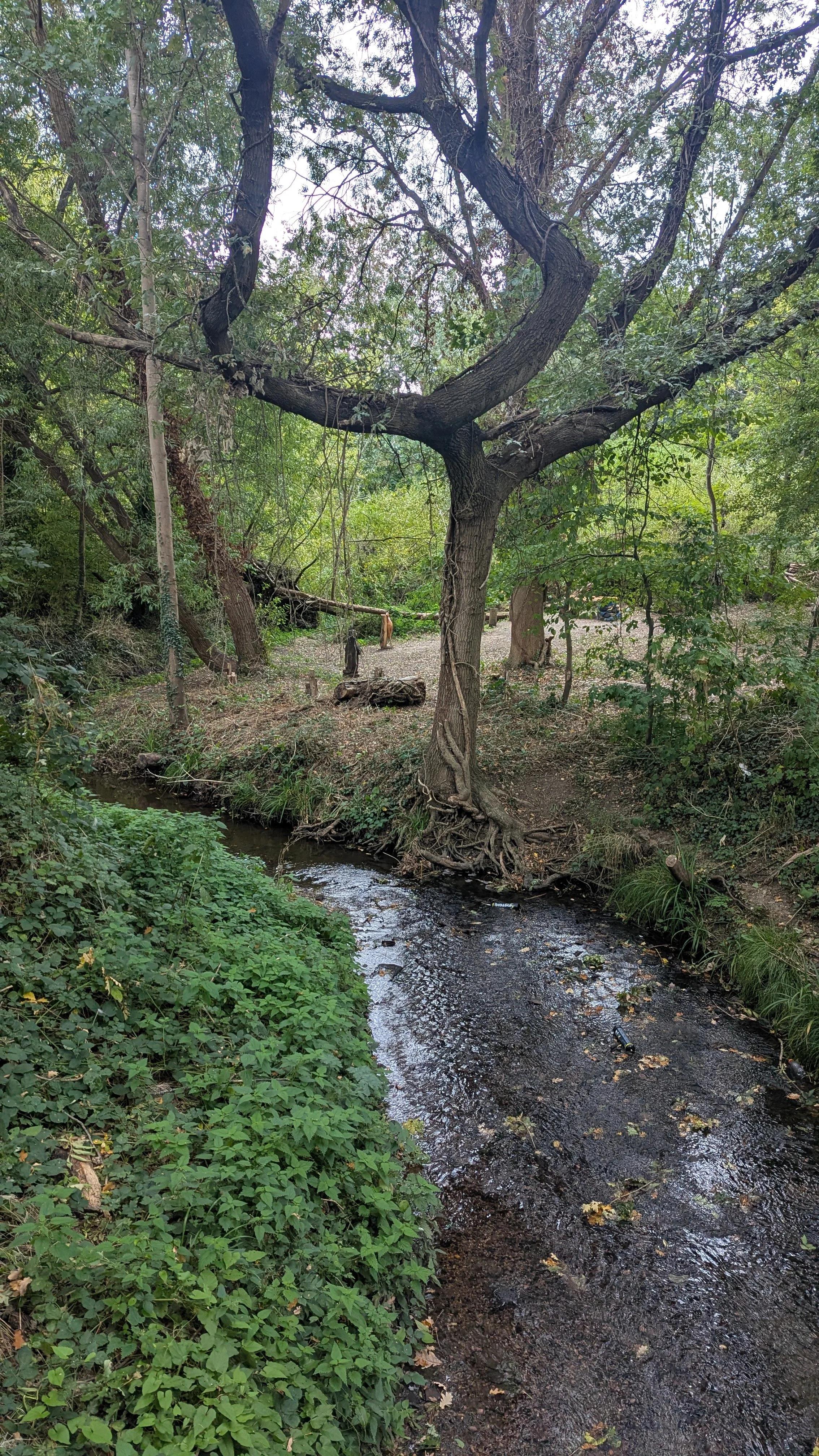 Brookfield Meadow_Ching 2025