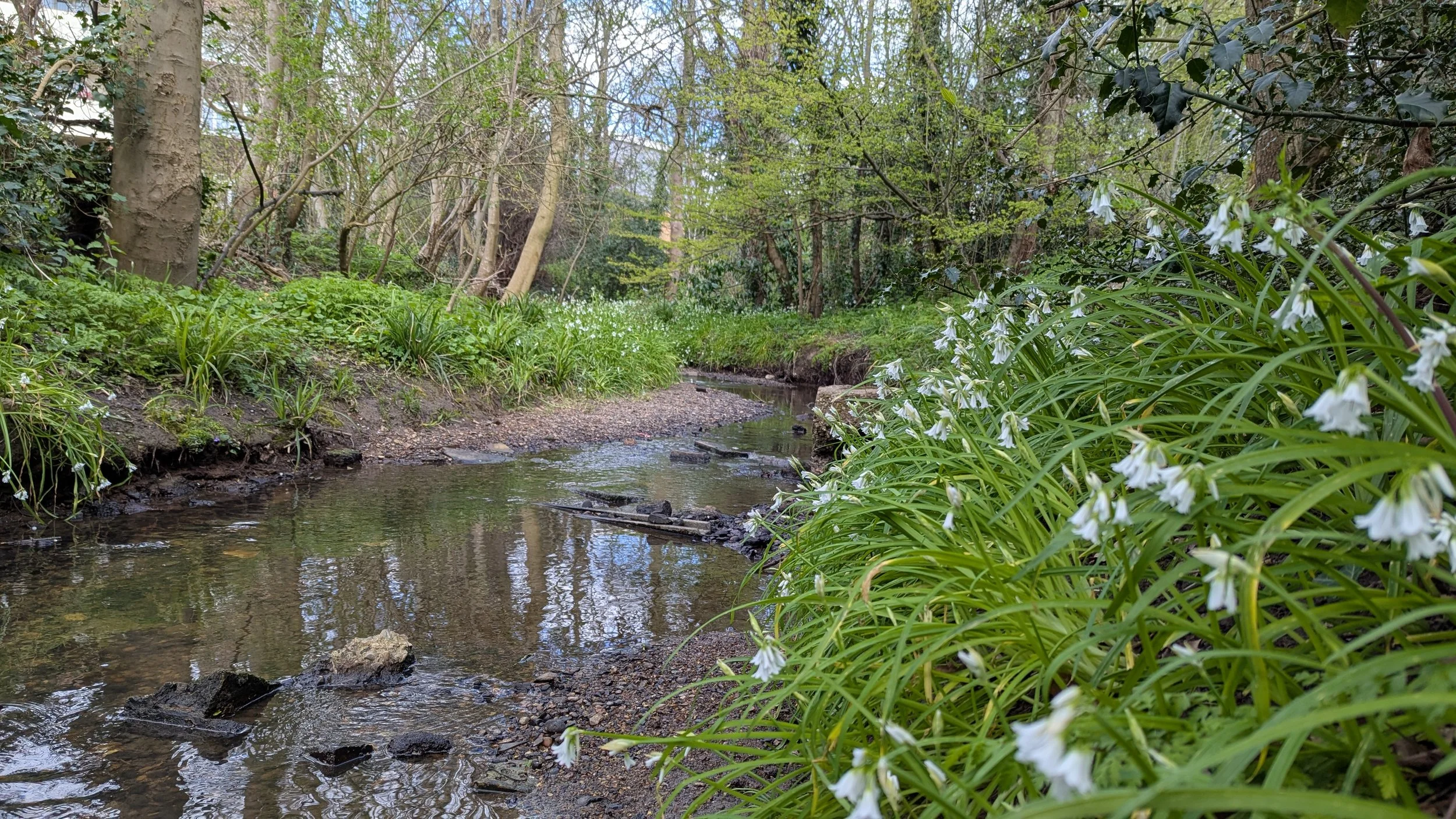 Vincent Road_Ching 2026 2.jpg