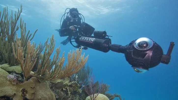 CHASING CORAL (2017)