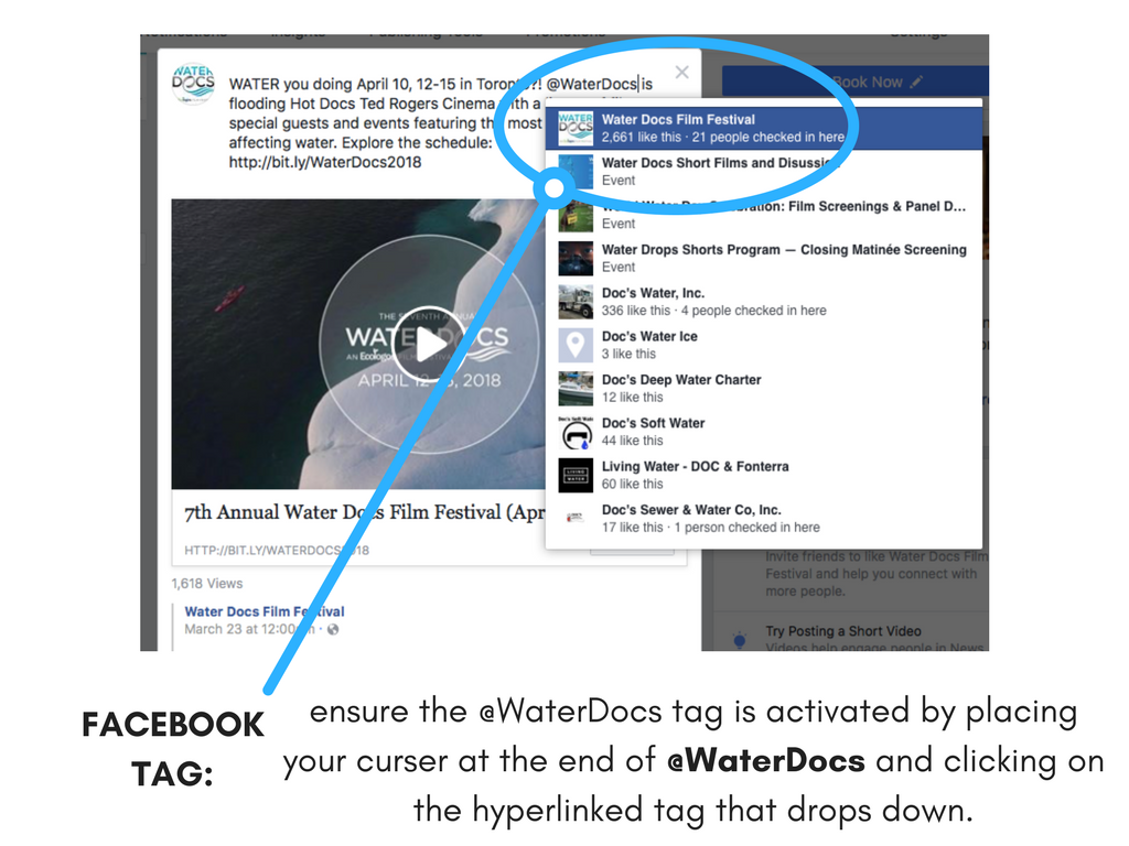 FacebookWDFF2.png
