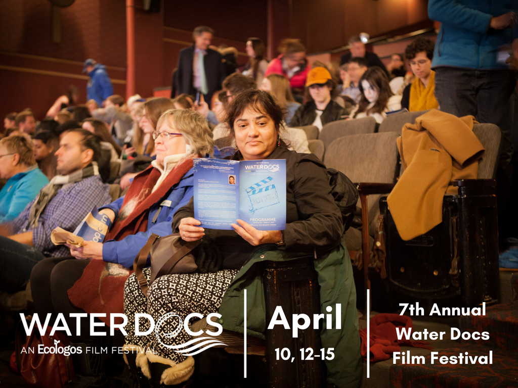 7th Annual WDFF - Cover photo.png