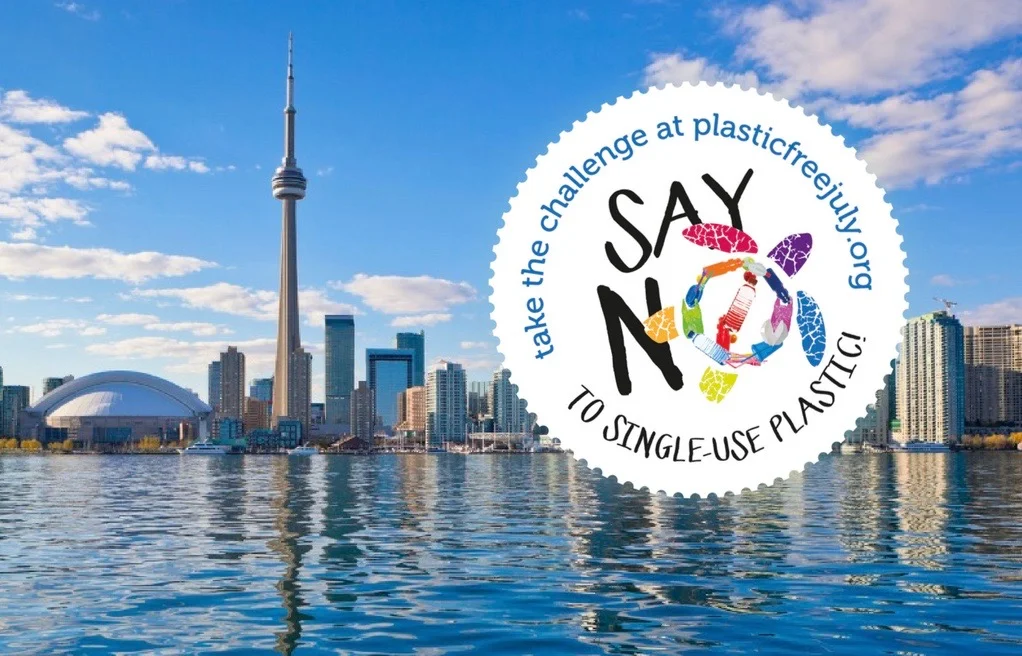 #PlasticFreeJuly: Here's How You Can Make a Real Difference in Toronto