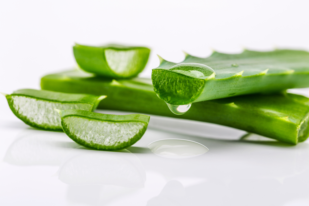 aloe vera.png