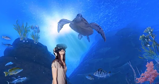 virtual-reality-experience.jpg