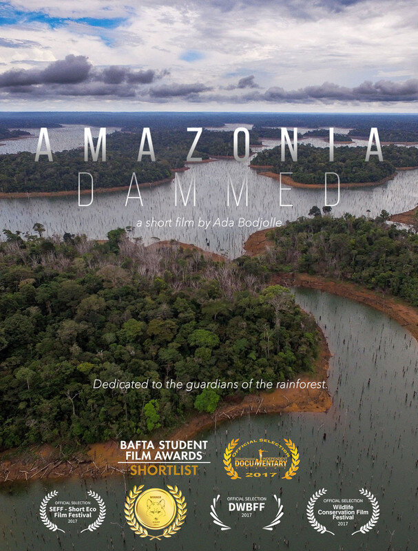 Amazonia Dammed 173a97ef2b-poster.jpg