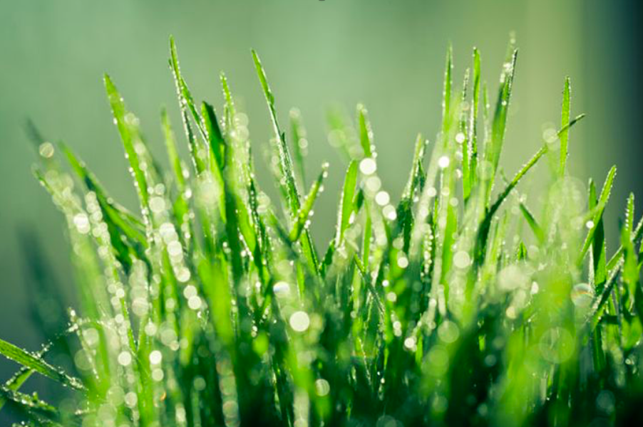 Go green on Instagram!